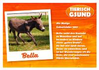 Bella Therpie-Tier-Nachwuchs